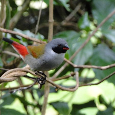 Kingfisher Country House Wilderness Luaran gambar