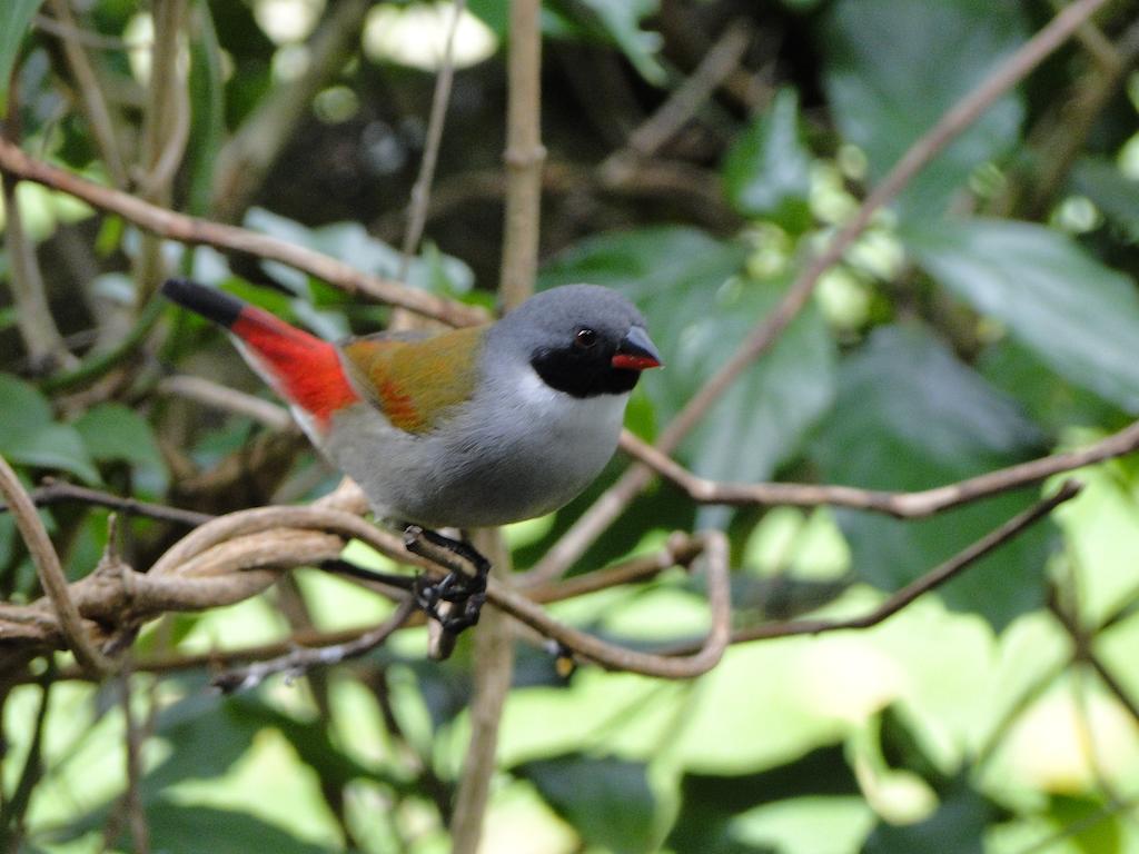 Kingfisher Country House Wilderness Luaran gambar