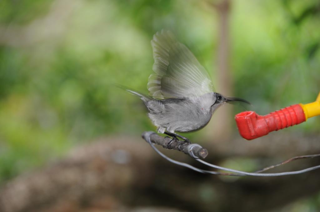 Kingfisher Country House Wilderness Luaran gambar