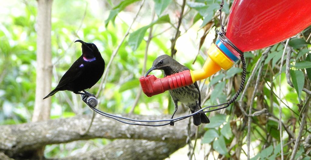 Kingfisher Country House Wilderness Luaran gambar